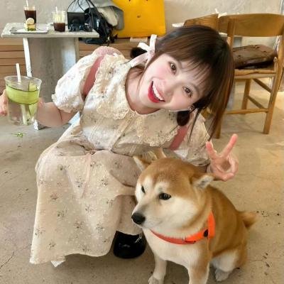 韩裔美人的日与夜